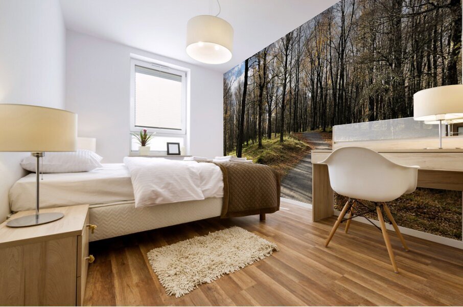 Autumnal Forest Walk Through the Scottish Highlands Mural print