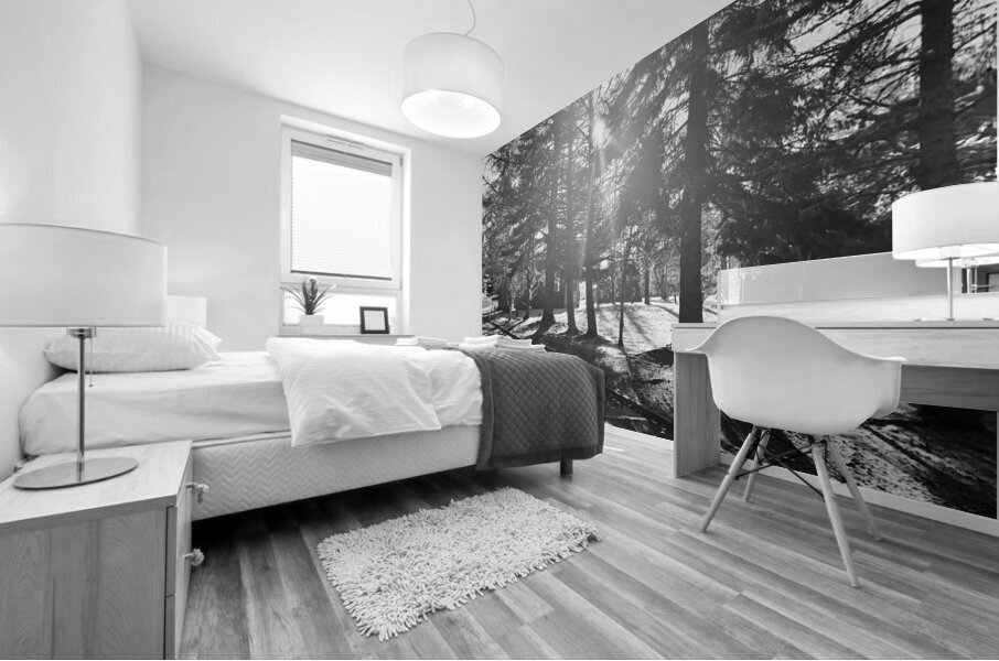 Everyday Lifes Moments- Black and White Contrast  Mural print