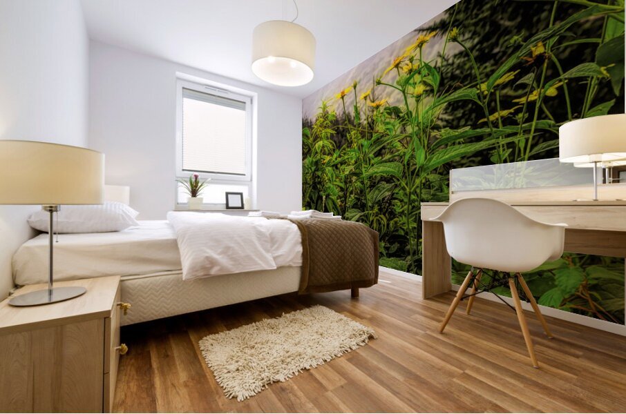 Smoky Mountains Summer Wildflowers Mural print