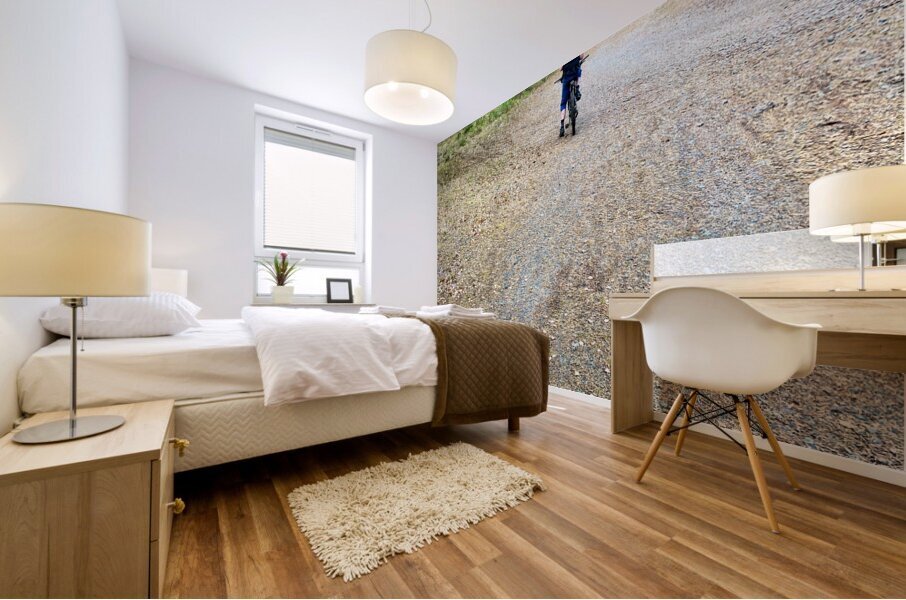 Scenes from the Trail- Decisions Mural print