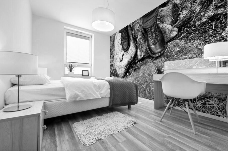 Scenes from the Trail- On the Trail in the Scottish Highlands Mural print