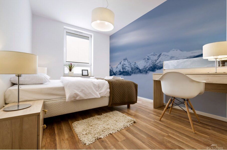  DSC0025 Pano Mural print