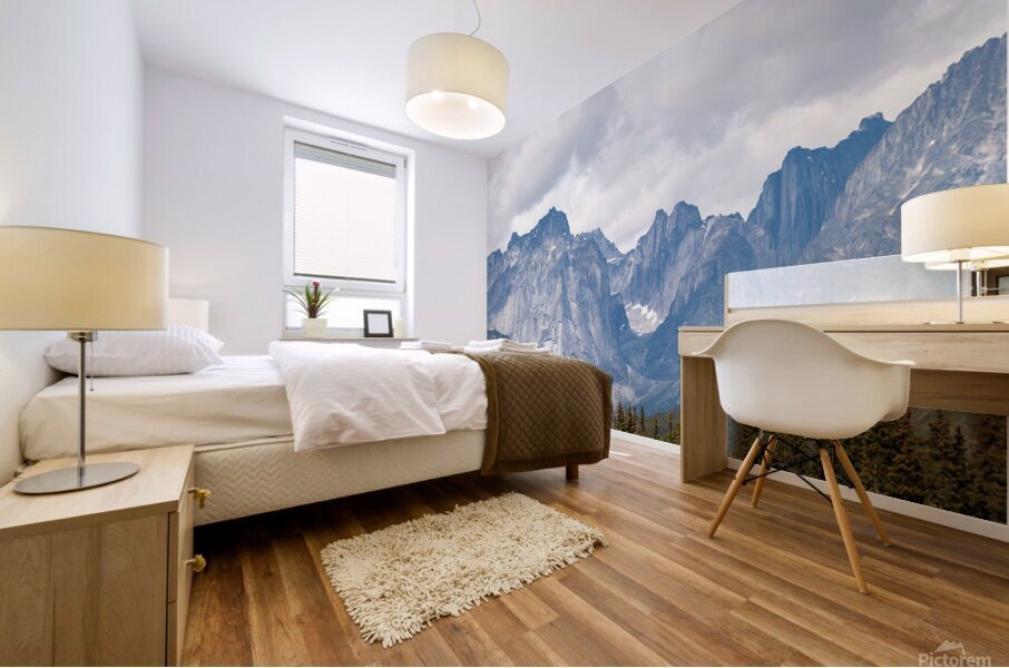 220724 FURNEAUX 2424 Pano Mural print