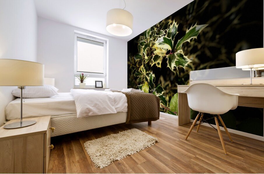  Variegated Holly Wreath  -  Merry Christmas  Mural print