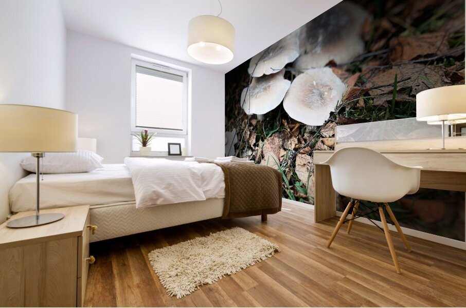 Scenes from the Trail -Autumnal Forest Mushroooms Mural print