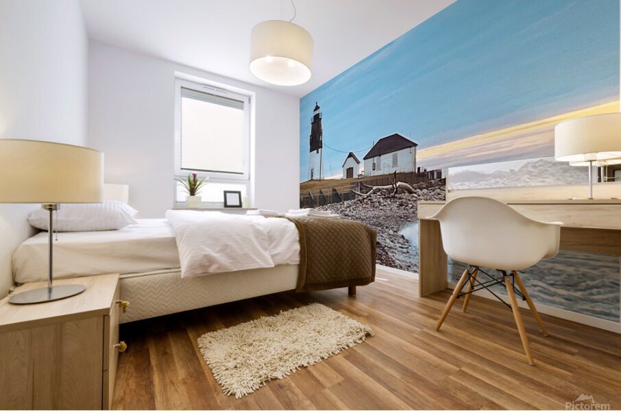 Point Judith-December Mural print