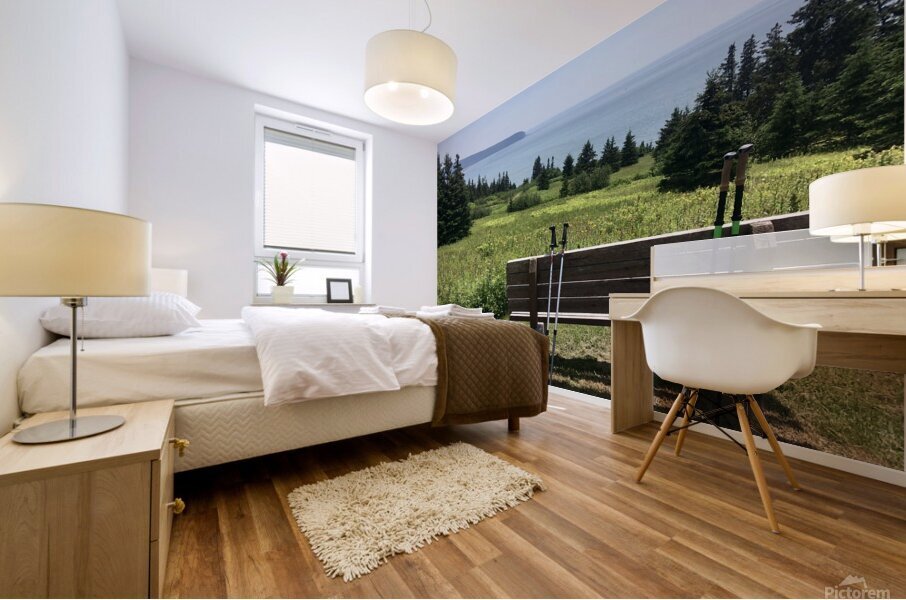 Hiking poles at lookout  Mural print