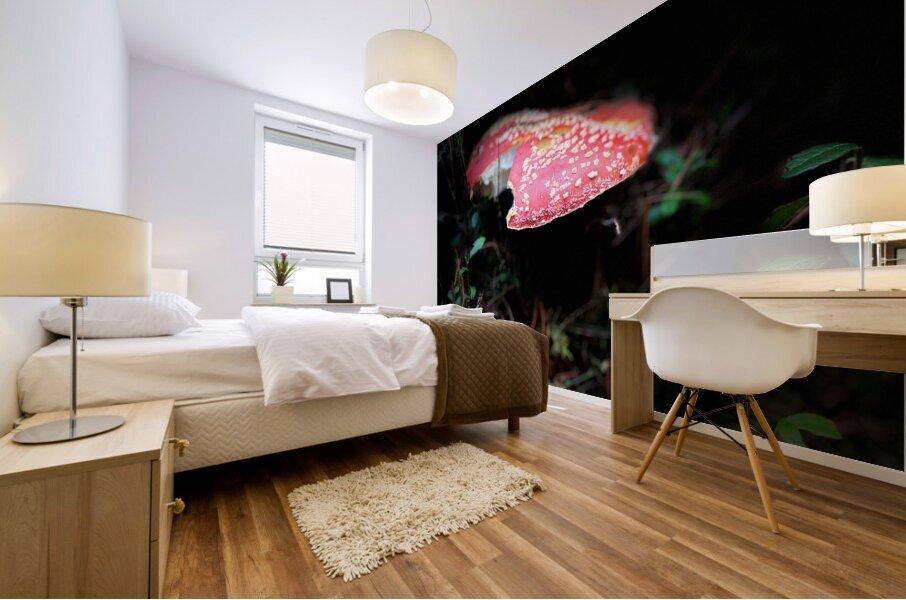 Scenes from the Trail   Fly Agaric Too Mural print