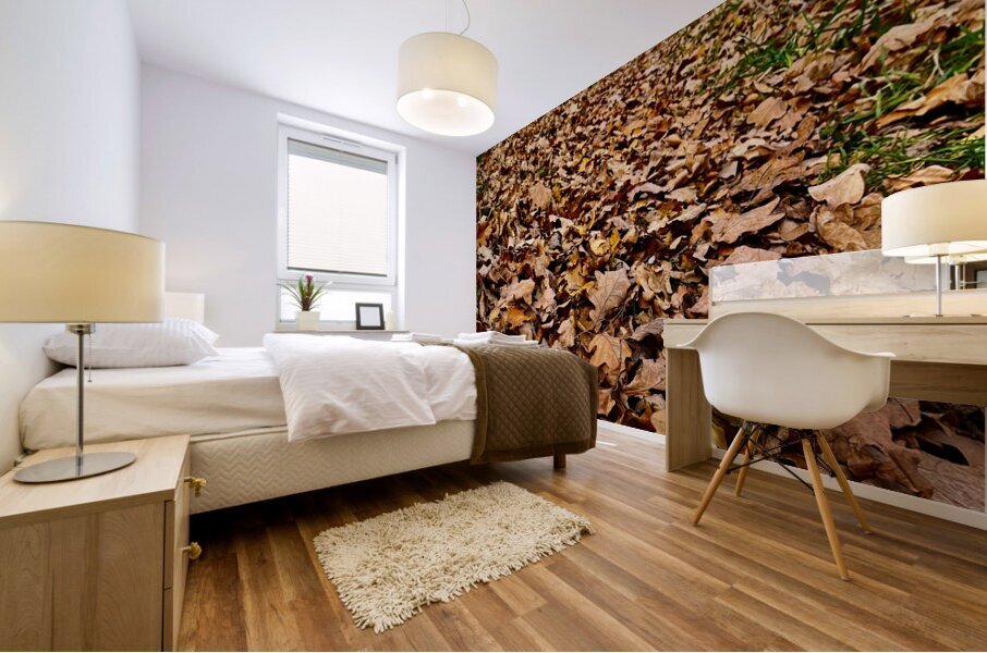 Scenes from the Trail - Fallen Leaves  Mural print