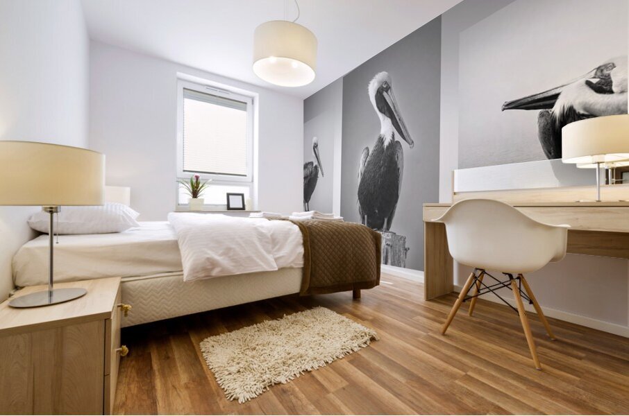 Three Pelicans Triptych in Black and White Mural print