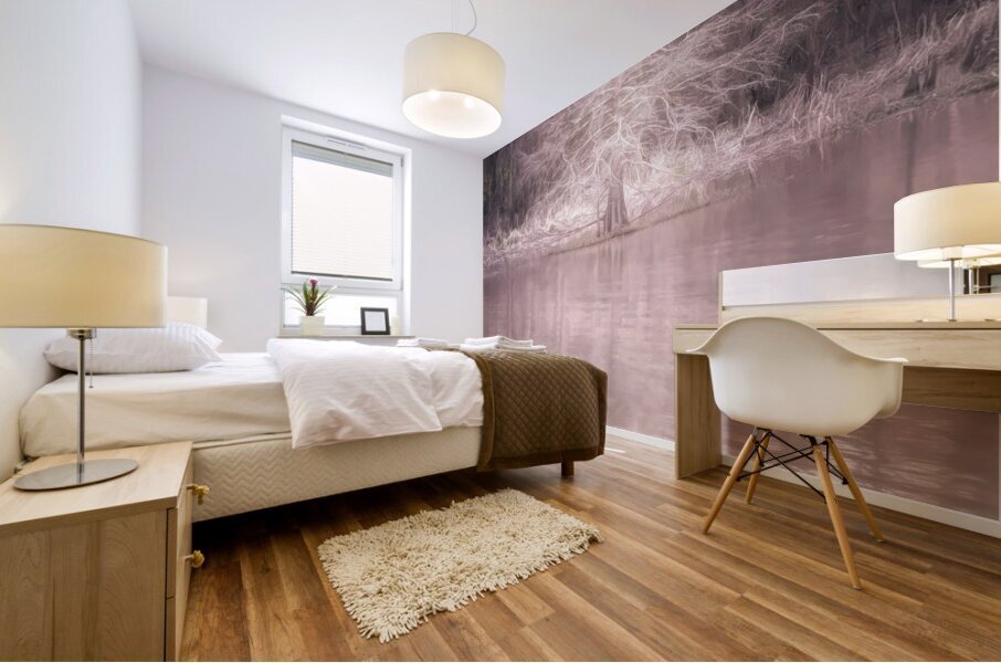 Louisiana Fausse Point State Park  Cypress Tree Mural print