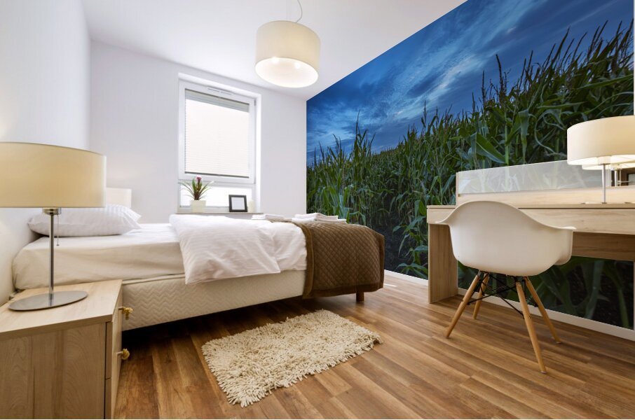 Cornfield at Sunset Mural print