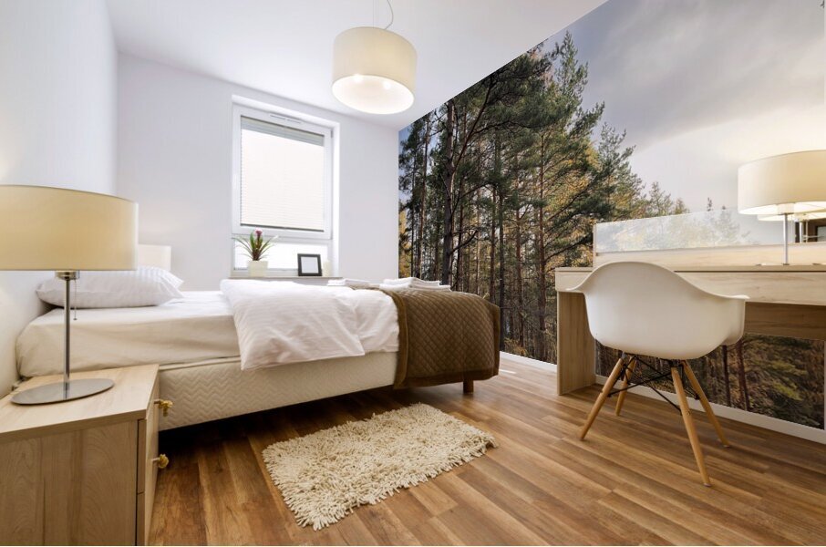 Autumnal Serenity in the Scottish Highlands Mural print