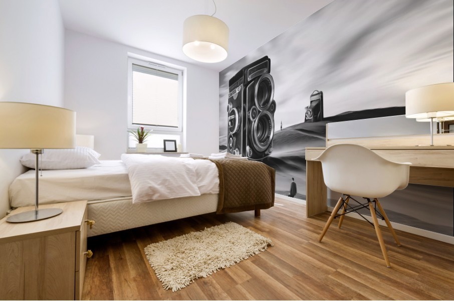 Its hard to photograph the silence Mural print