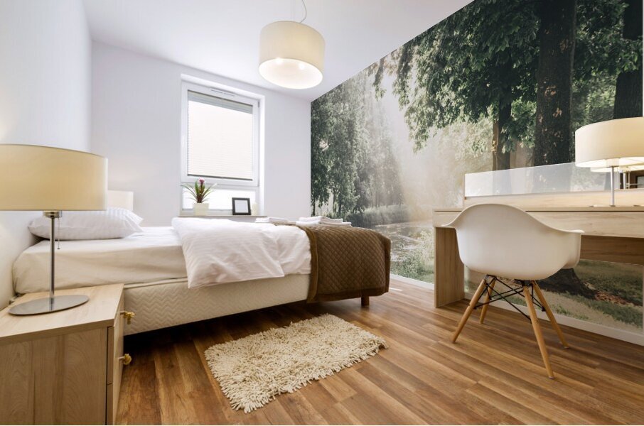 Jordan Creek Morning Light Mural print