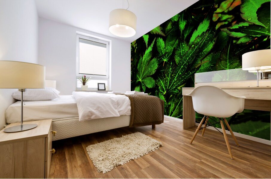  Artistic Autumnal Acer Leaves Too Mural print