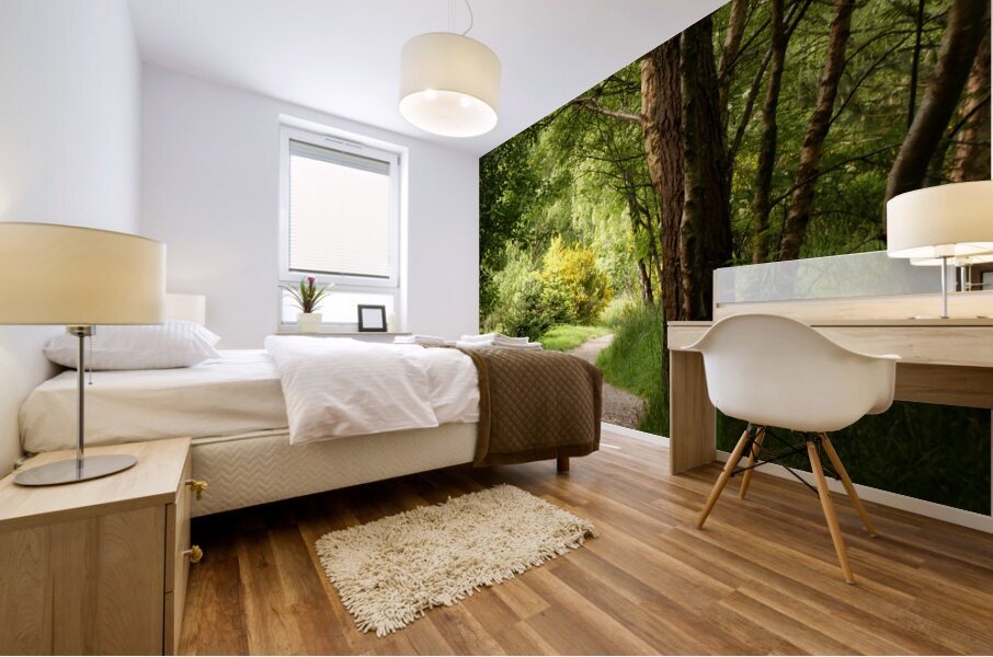 A Spring Nature Path through the Scottish Highlands Mural print