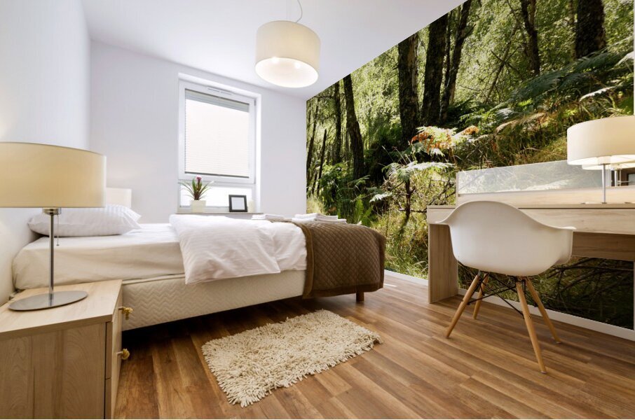 Scottish Highlands Spring Woodland Mural print