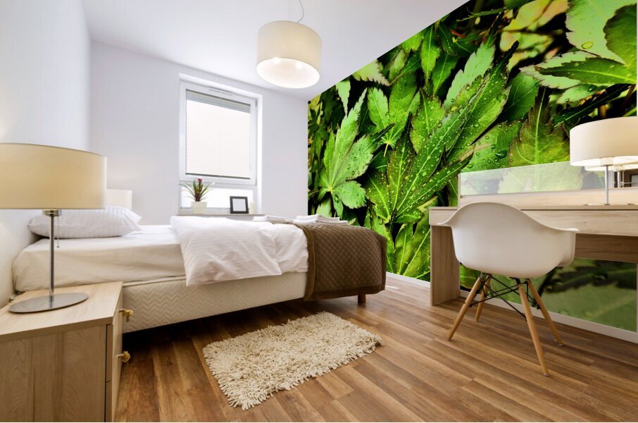 Artistic Autumnal Acer Leaves  Mural print