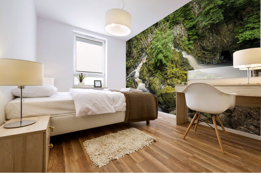 Conwy Falls on the Afon Conwy near Betws-y-Coed in North Wales Mural print