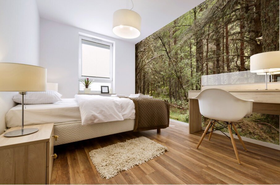 Forest Wonderland in the Scottish Highlands Mural print