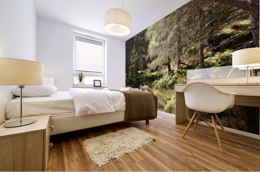 Scottish Highlands Woodland Wish   Mural print