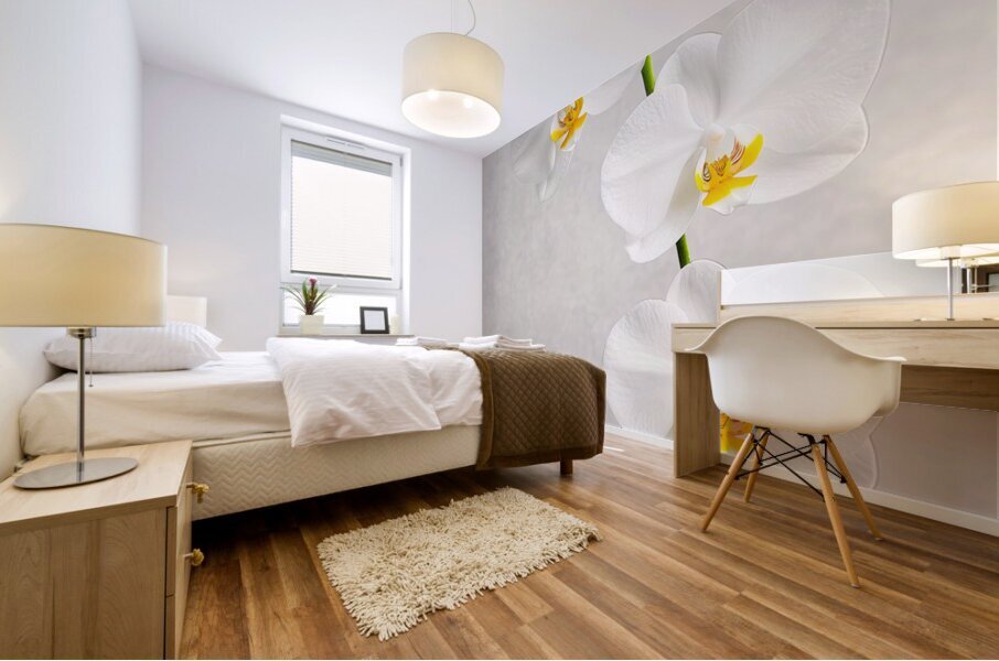 Orchid on Grey Mural print
