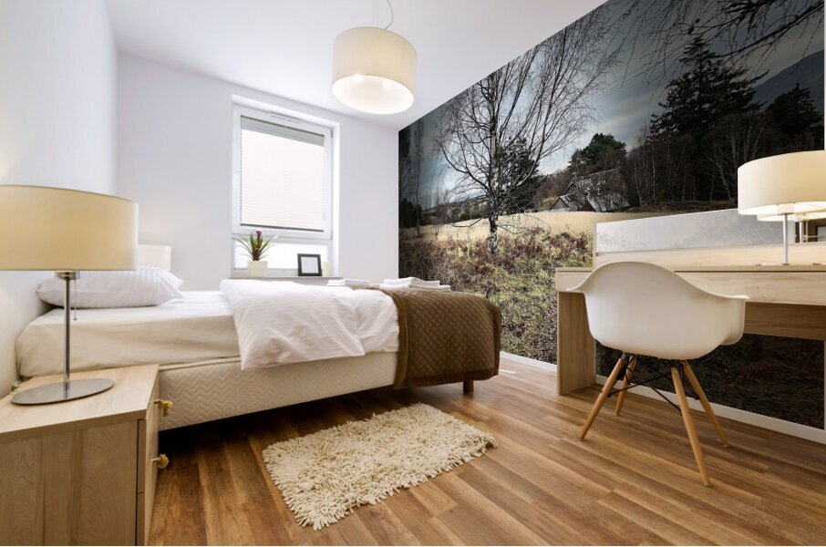 Scenes from the Trail- Scottish Countryside Mural print