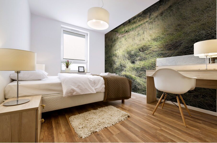 Scenes from the Trail - Autumn in the Scottish Highlands Mural print