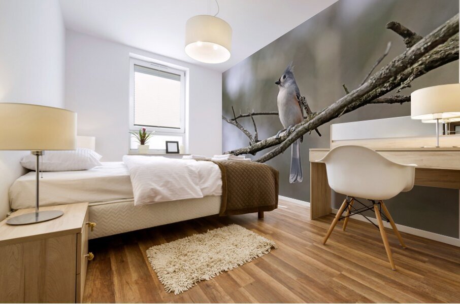 Tufted Titmouse Perched Mural print