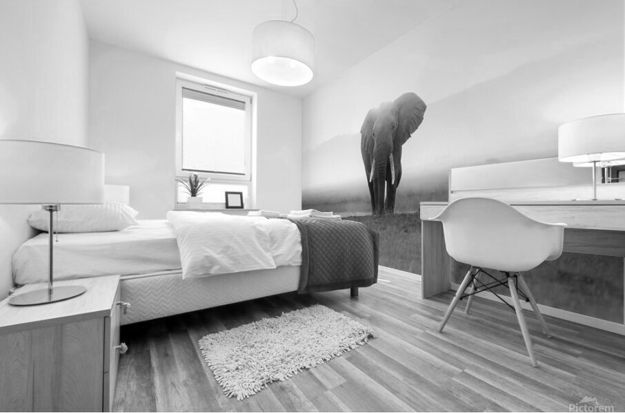 Majesty in Monochrome Mural print