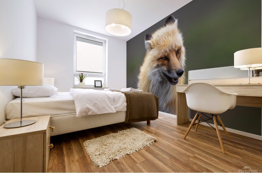 Sly Glance Mural print