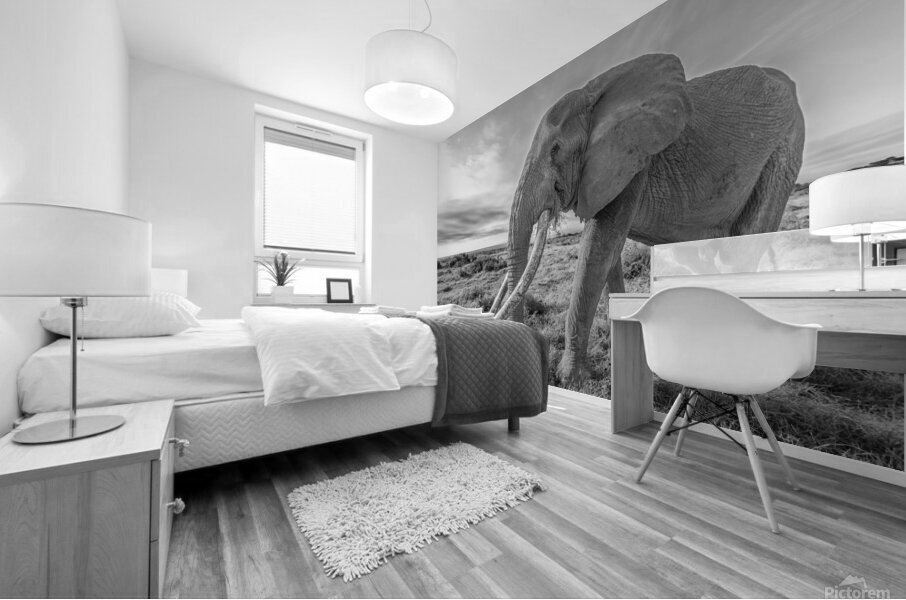 The Wise Wanderer Mural print