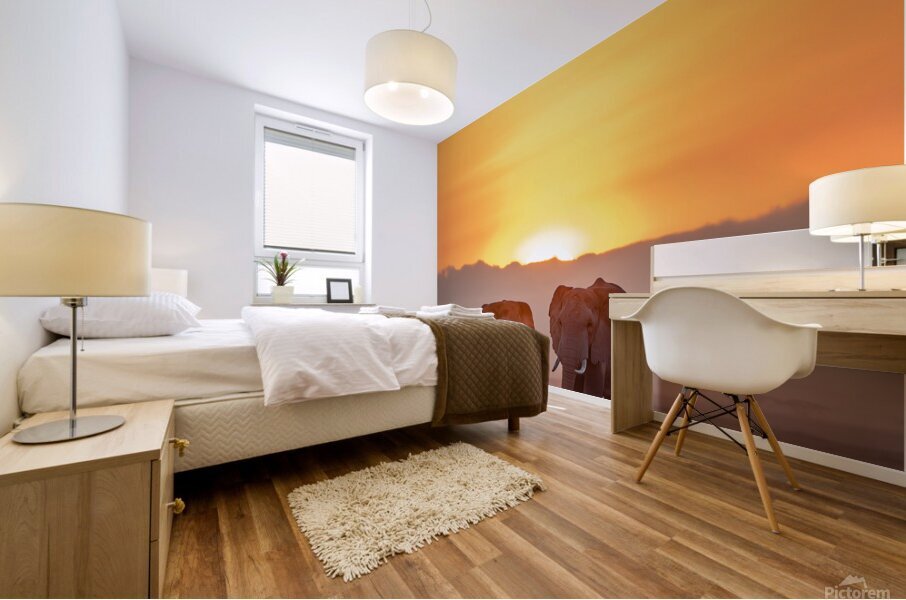 Sunset Stroll Mural print