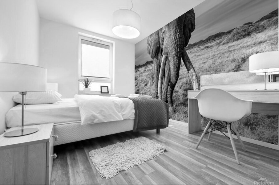 Monarch of the Savannah Mural print