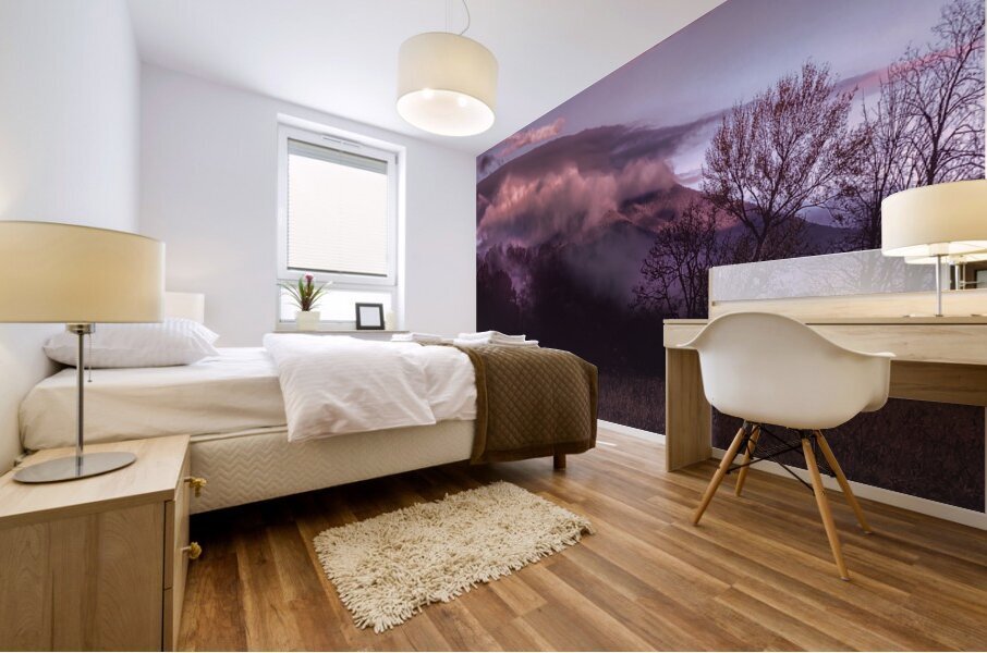 Blue Ridge Mountains Daybreak Mural print