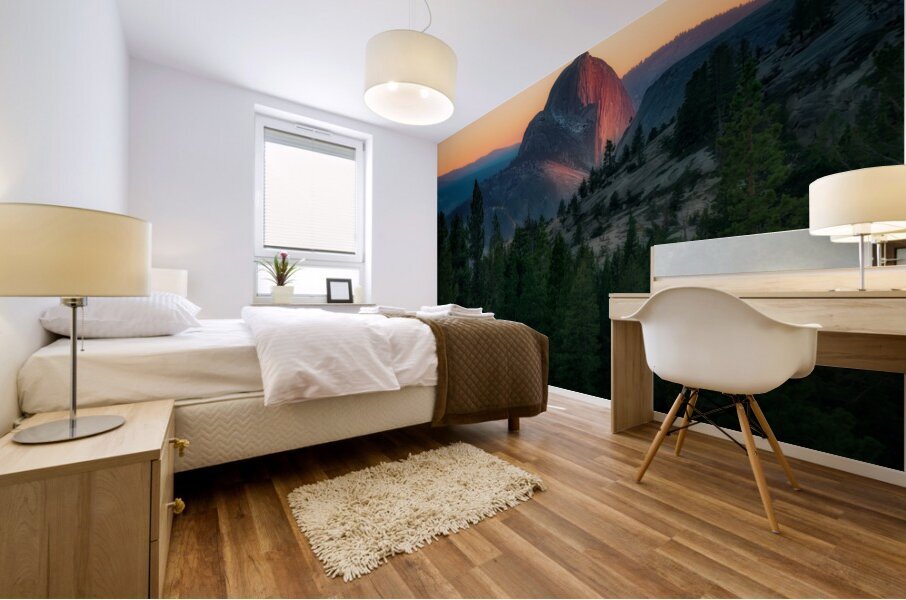 Half Dome Aglow Mural print