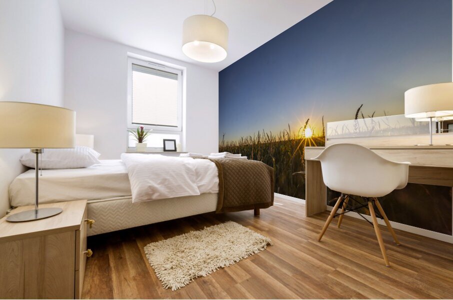 Sunset in the Cornfield Mural print