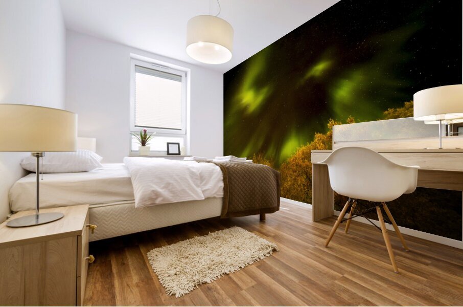 Northern Lights Above the Canopy Mural print