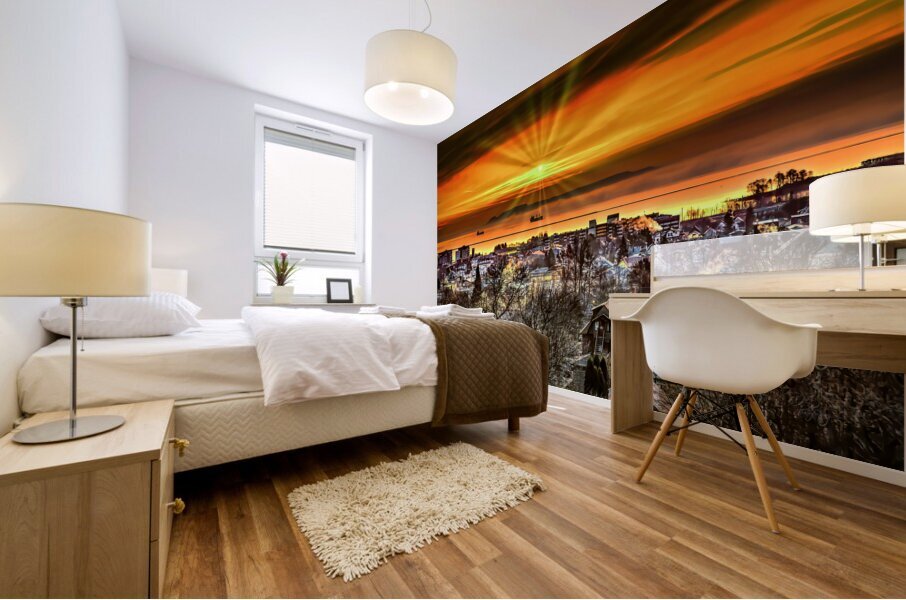 What a December View Mural print