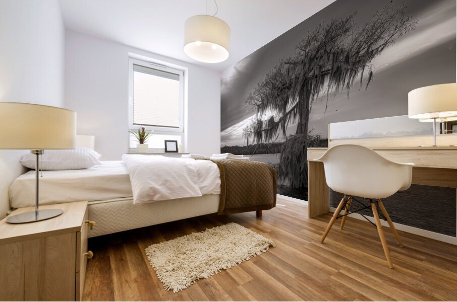 One Lone Cypress  Tree Silhouette Mural print