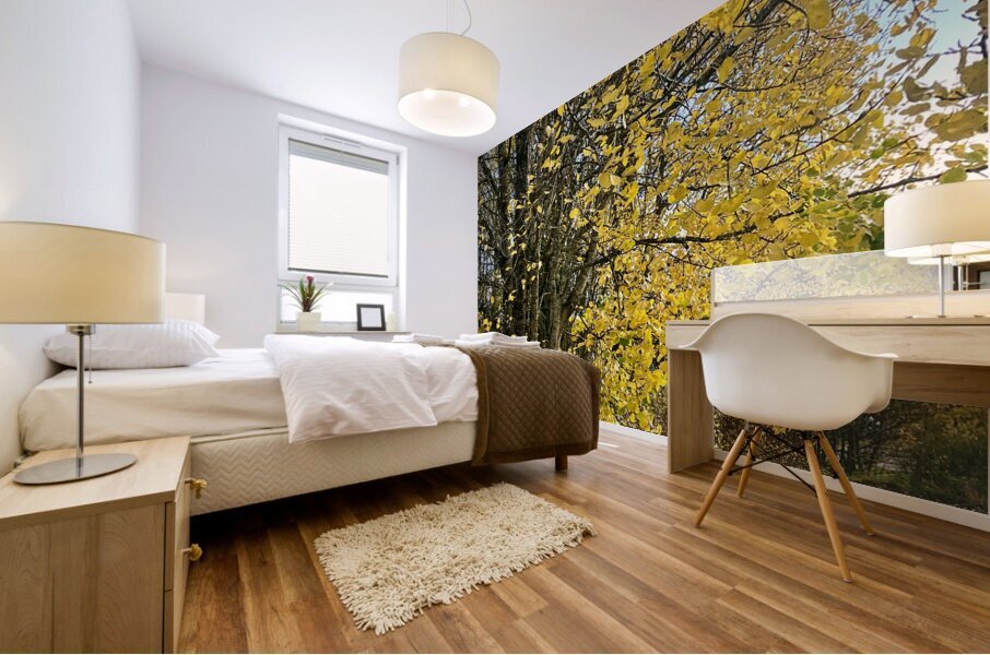 Autumns Grace in the Scottish Highlands  Mural print