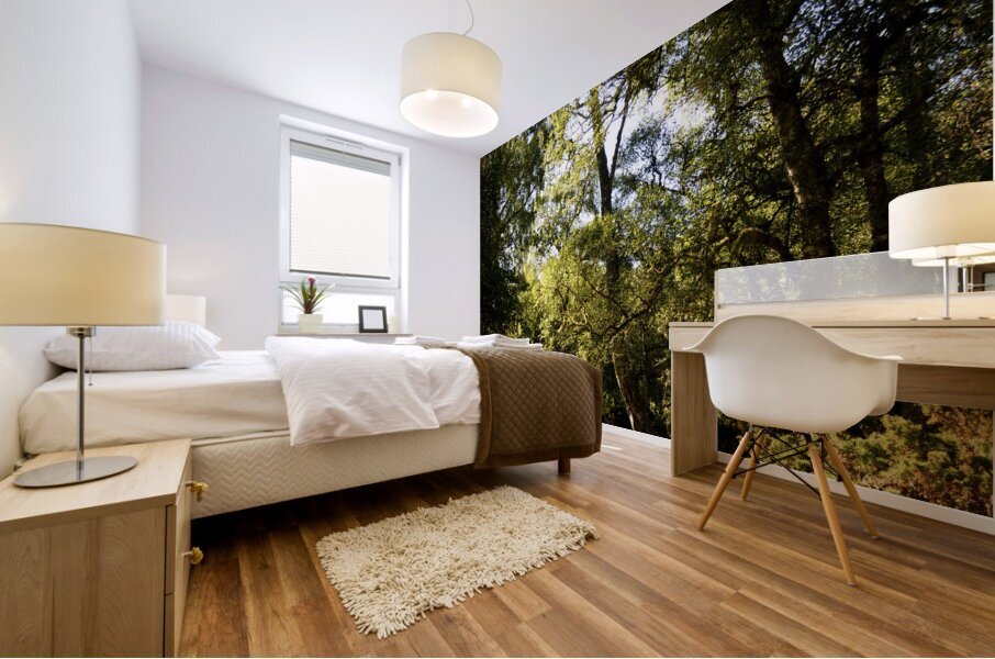 Summers Nature Path Too in the Scottish Highlands Mural print