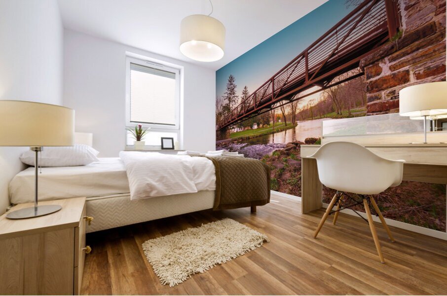 Lehigh Parkway Footbridge Below Mural print