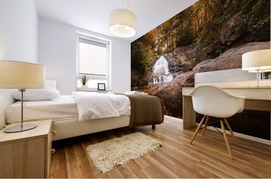 Hawk Falls in Autumn Creekside View Mural print