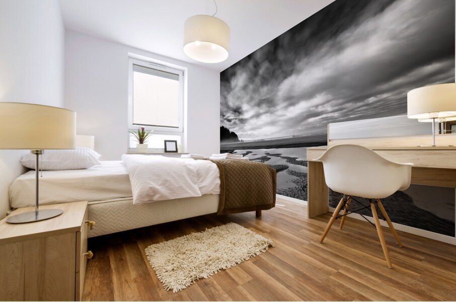 Shoreline in Smugglers Cove II Mural print