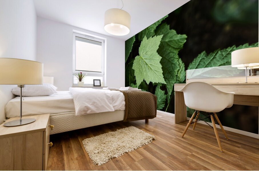 Light hitting Leaf Mural print