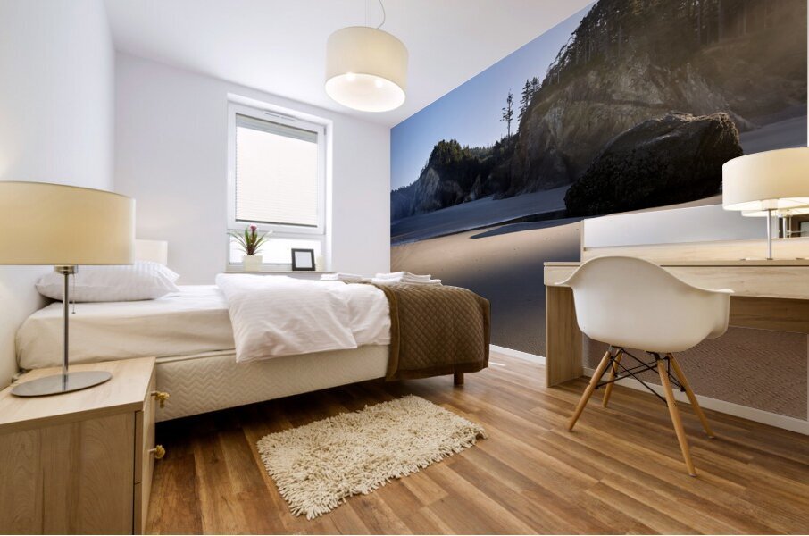 Shadow and Light on an Oregon Beach Mural print