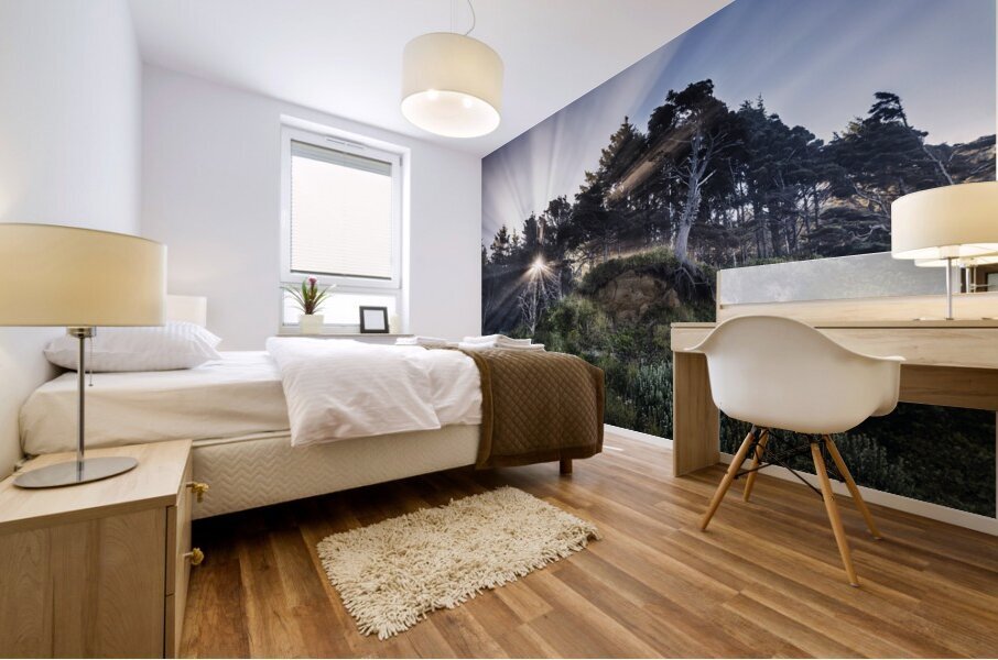 God Rays on an Oregan Cliff Mural print