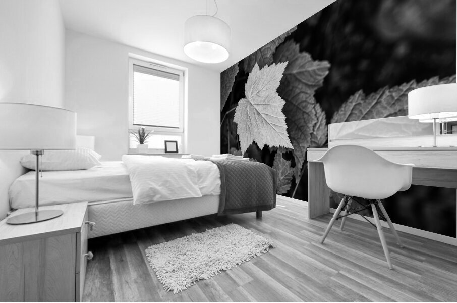 Light hitting Leaf II Mural print